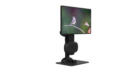 De ergonomielcd Wartel van de Tribunemonitor om Halsstijfheid te verlichten
