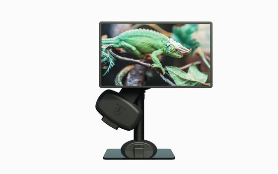 23 cm/min Gezonde computer bureau monitor montage voor cervicale wervel