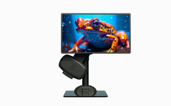 Gezonde Computer Desk Monitor Mount Voor nekpijn