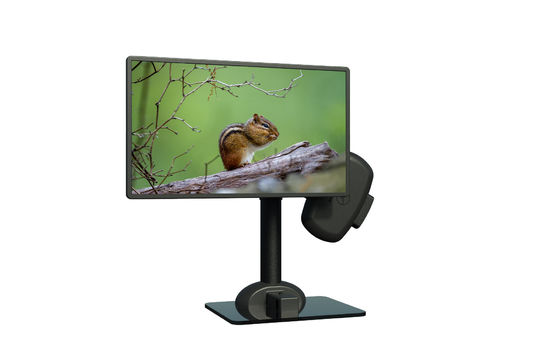 20 mm/min Elektrische bewegende PC Monitor Stand Arm Om de stijfheid van de nek te verlichten