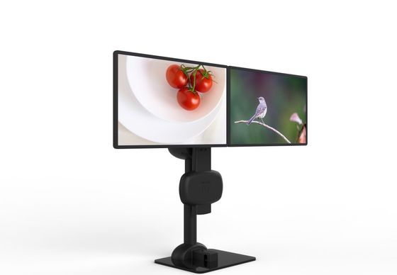 Elektrische Lifting Roterende Dual Monitor Stand Voor Verlichting Nek En Lumbal Pijn