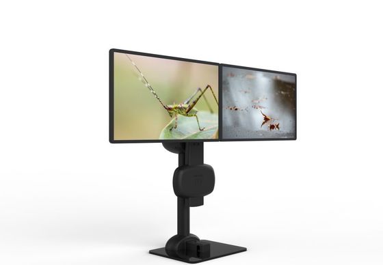 Automatische opheffing roterende dubbele monitor montage voor het verlichten van nek en rugpijn